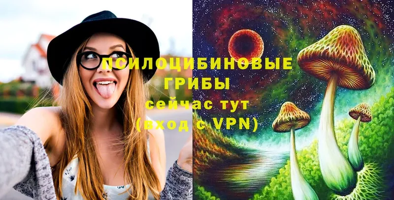 Галлюциногенные грибы Magic Shrooms  Ржев 